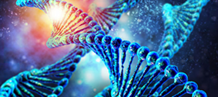 Human DNA String